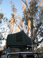 _sitting right over Wombat